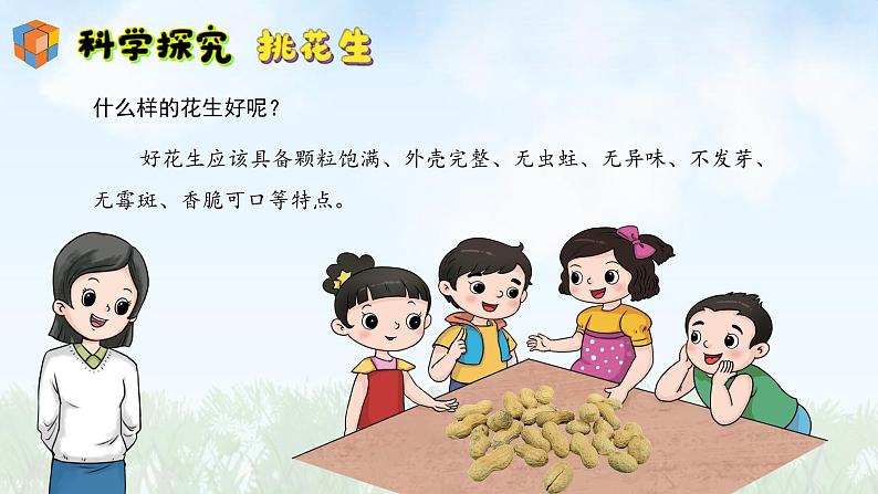 (2024)新版湘科版科学一年级上册(1)从观察开始-PPT课件08