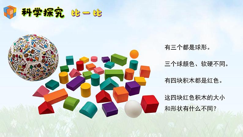 (2024)新版湘科版科学一年级上册(2)找相同和不同-PPT课件08