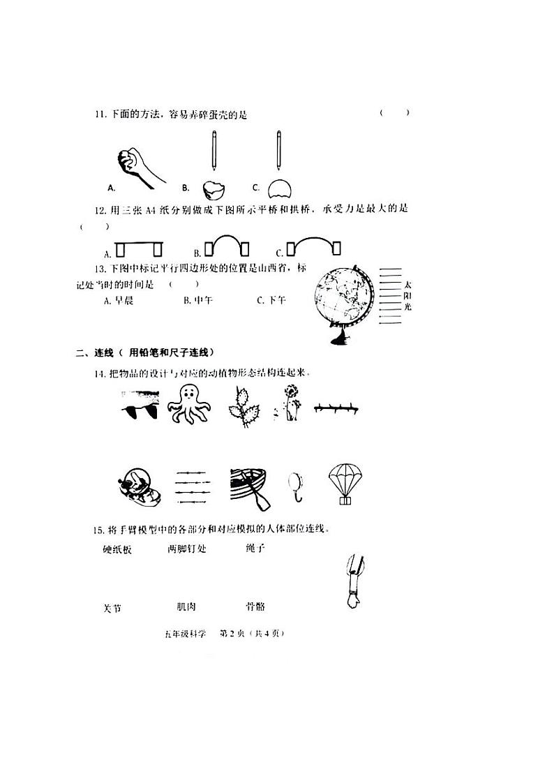 山西省晋中市介休市2023-2024学年五年级下学期期中科学试题02