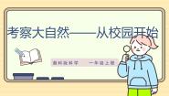 小学科学湘科版（2024）一年级上册（2024）6 考察大自然—从校园开始评课ppt课件