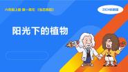 小学科学湘科版（2024）六年级上册1 阳光下的植物图片ppt课件