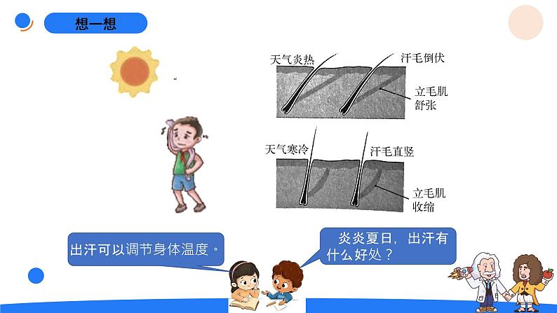 湘科版科学(2017)五年级上册--1.1人体对刺激的反应(课件+教案)05