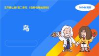 小学科学湘科版（2024）三年级上册3 鸟教案配套ppt课件