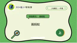 大象版（2024）一上小學(xué)科學(xué)體驗單元畫螞蟻課件