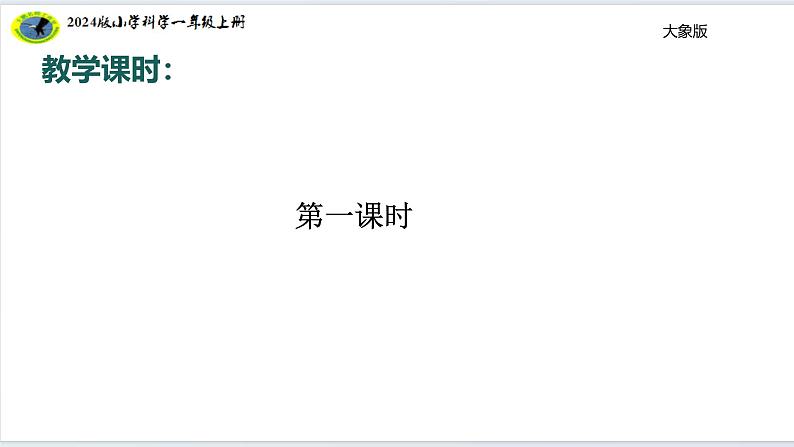 大象版(2024)小学科学体验单元画蚂蚁课件 (35张ppt)第6页