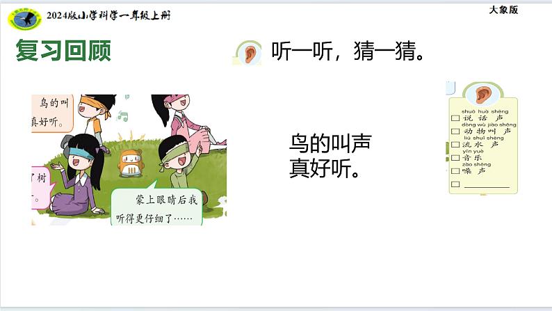 大象版(2024)小学科学第一单元感官兄弟1.3水果分享会课件 (2)第7页