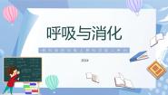 小学科学教科版（2024）四年级上册6.营养要均衡完美版教学课件ppt