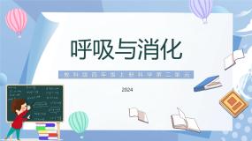 小学科学教科版（2024）四年级上册6.营养要均衡完美版教学课件ppt