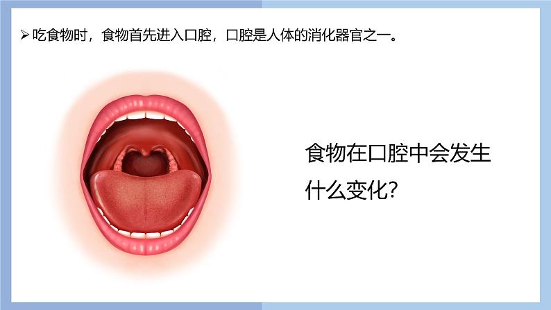 【核心素养】教科版科学四年级上册 2.7 食物在口腔里的变化(教学课件)第4页