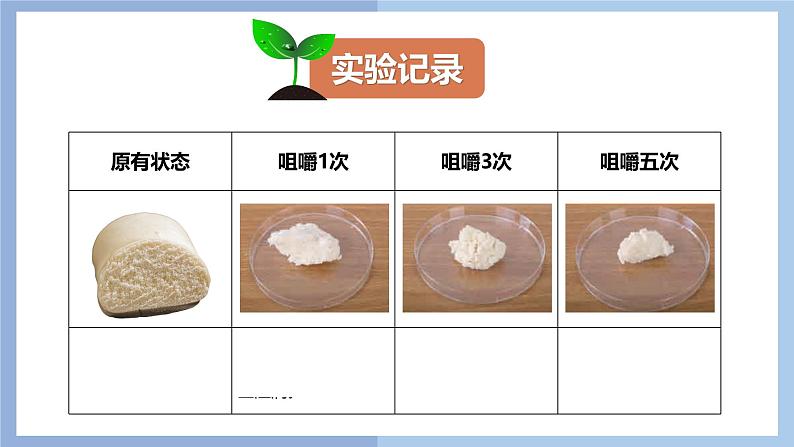 【核心素养】教科版科学四年级上册 2.7 食物在口腔里的变化(教学课件)第7页