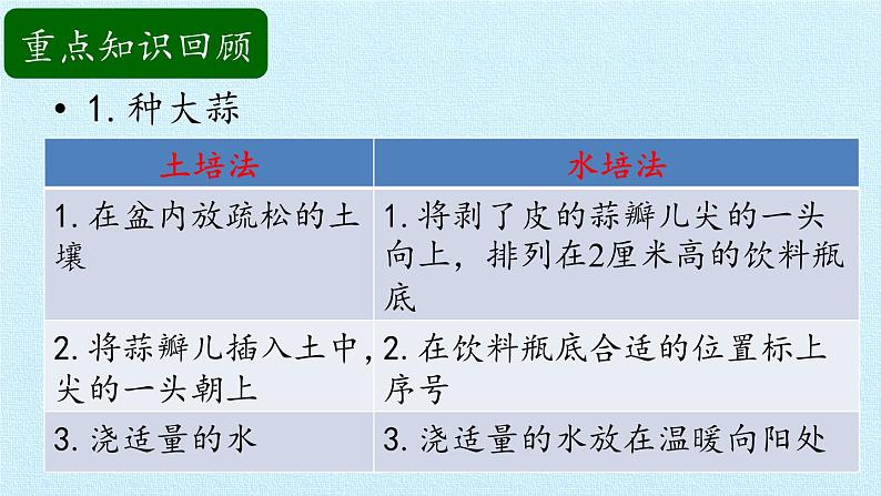 青岛版科学二年级上册 第三单元 植物与环境 复习课件课件04