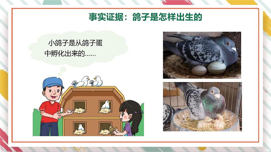 【大單元整體教學(xué)】2.1動(dòng)物的繁殖  課時(shí)課件第4頁