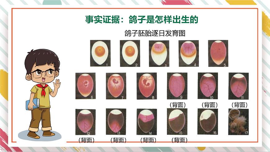 【大單元整體教學(xué)】2.1動(dòng)物的繁殖  課時(shí)課件第7頁