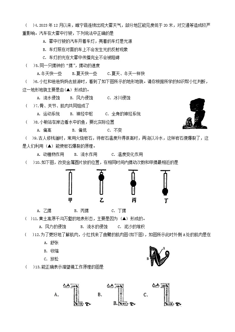 江苏省徐州市睢宁县2023-2024学年五年级上学期期末考试科学试题第2页