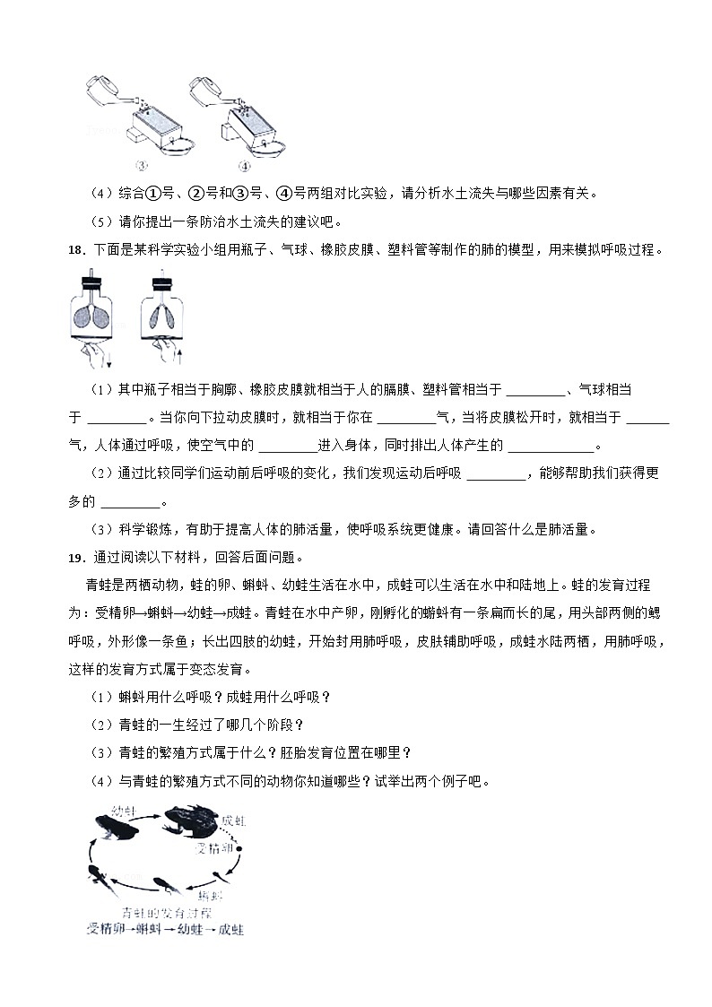 河北省保定市徐水区2023-2024学年四年级下学期期末科学试卷03