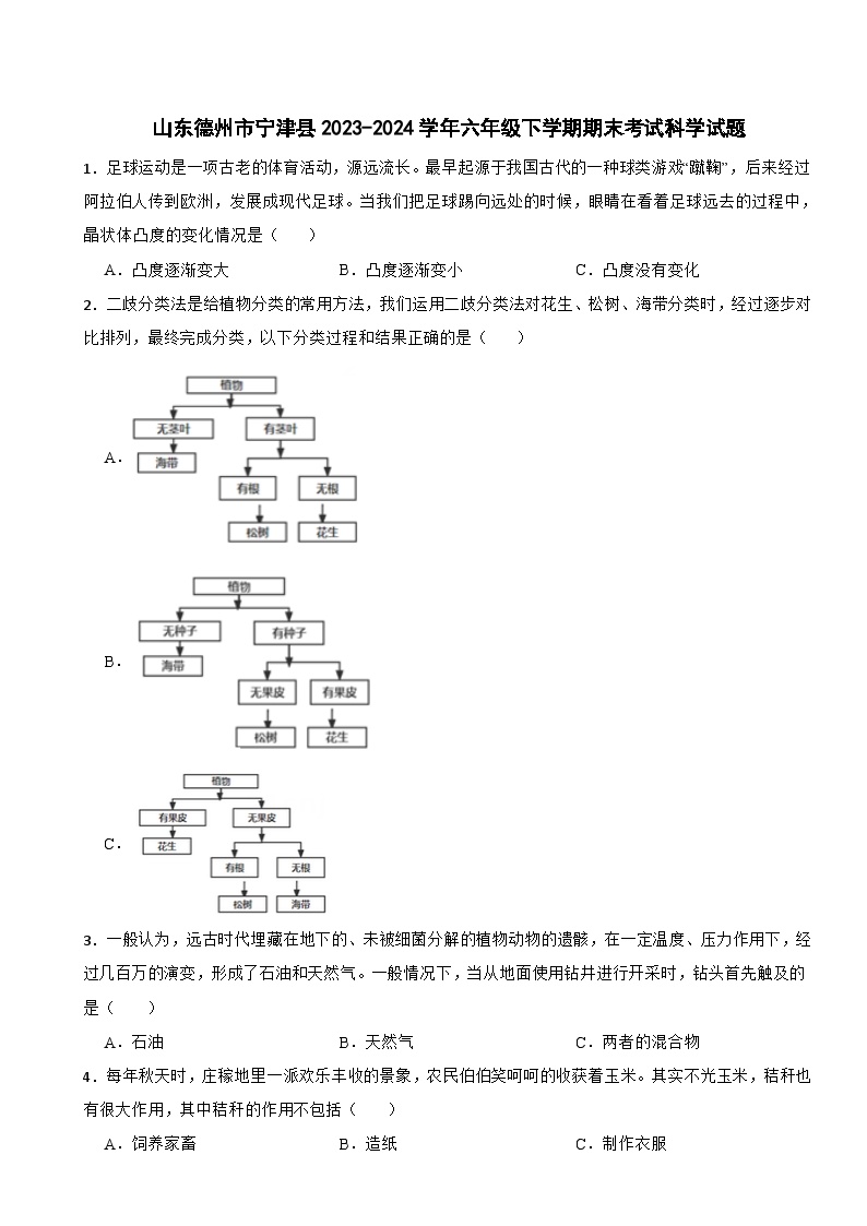 山东德州市宁津县2023-2024学年六年级下学期期末考试科学试题