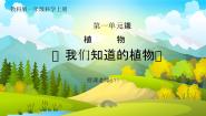 小学科学教科版（2024）一年级上册1.我们知道的植物教学课件ppt