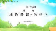 科学一年级上册5.植物是“活”的吗教学课件ppt