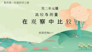小学科学教科版（2024）一年级上册1.在观察中比较教学ppt课件