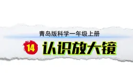 小学科学新青岛版六三制一年级上册第四单元第14课《认识放大镜》教学课件（2024秋）