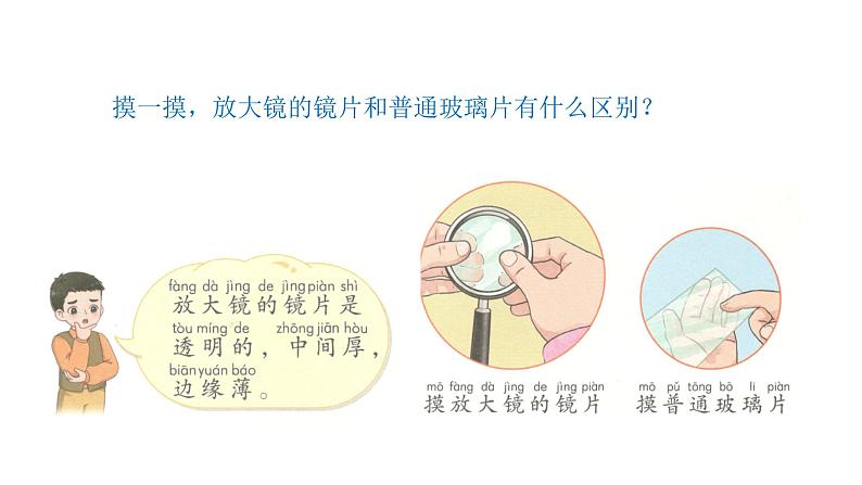 小学科学新青岛版六三制一年级上册第四单元第14课《认识放大镜》教学课件(2024秋)第6页