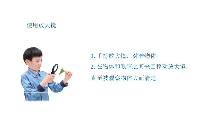 小学科学新青岛版六三制一年级上册第四单元第14课《认识放大镜》教学课件(2024秋)第8页