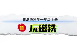 小学科学新青岛版六三制一年级上册第三单元第11课《玩磁铁》教学课件（2024秋）