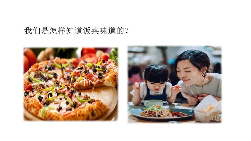 小學(xué)科學(xué)新青島版六三制一年級(jí)上冊(cè)第二單元第7課《聞和嘗》教學(xué)課件（2024秋）第3頁