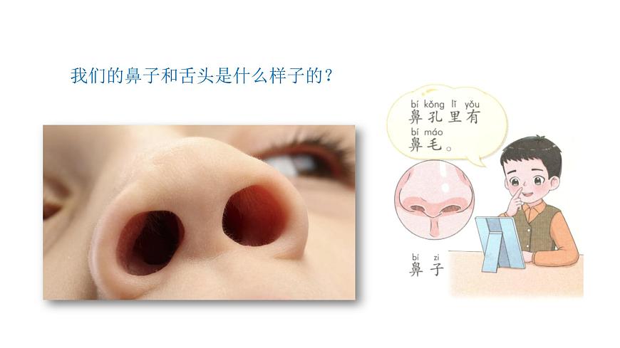 小學(xué)科學(xué)新青島版六三制一年級(jí)上冊(cè)第二單元第7課《聞和嘗》教學(xué)課件（2024秋）第5頁