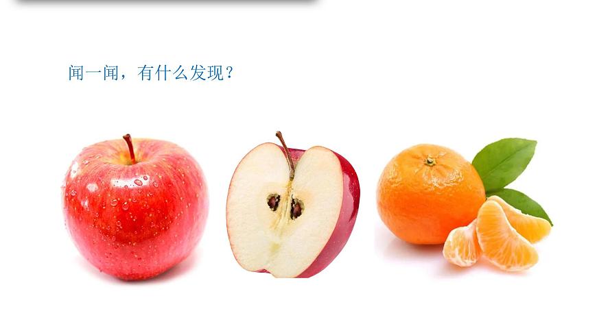 小學(xué)科學(xué)新青島版六三制一年級(jí)上冊(cè)第二單元第7課《聞和嘗》教學(xué)課件（2024秋）第7頁