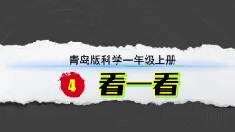 小学科学新青岛版六三制一年级上册第二单元第4课《看一看》教学课件（2024秋）