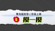 小学科学青岛版（六三制）(2024)一年级上册（2024）6 摸一摸教学ppt课件