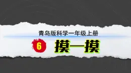 小学科学新青岛版六三制一年级上册第二单元第6课《摸一摸》教学课件（2024秋）