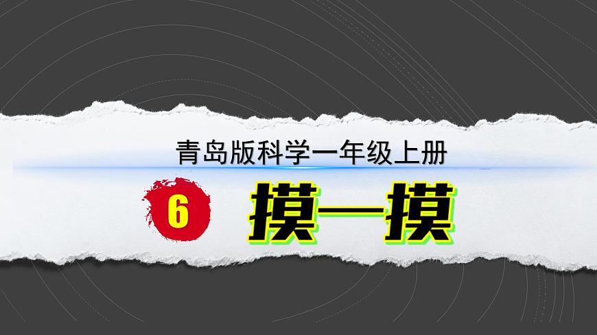 小學(xué)科學(xué)新青島版六三制一年級上冊第二單元第6課《摸一摸》教學(xué)課件（2024秋）第1頁