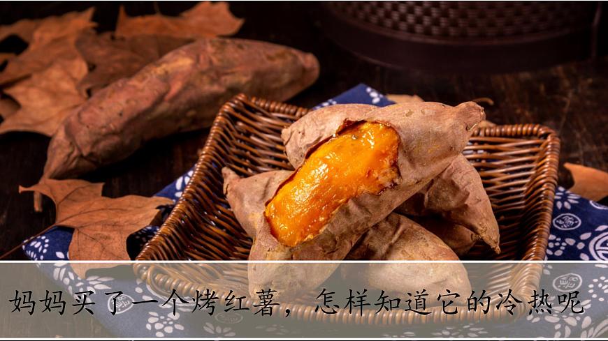 小學(xué)科學(xué)新青島版六三制一年級上冊第二單元第6課《摸一摸》教學(xué)課件（2024秋）第2頁