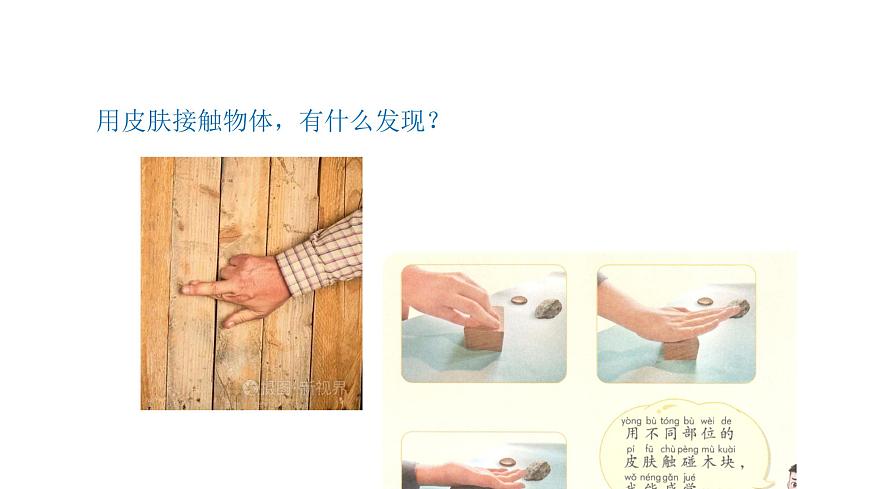 小學(xué)科學(xué)新青島版六三制一年級上冊第二單元第6課《摸一摸》教學(xué)課件（2024秋）第5頁