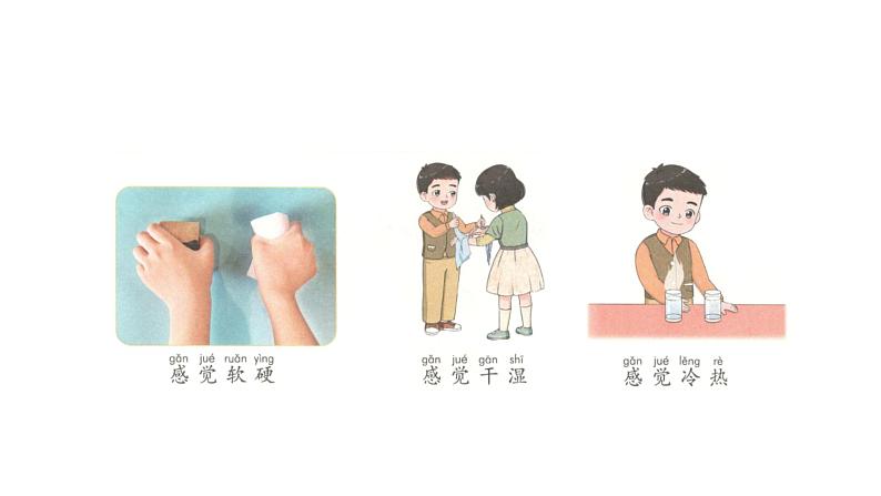 小学科学新青岛版六三制一年级上册第二单元第6课《摸一摸》教学课件(2024秋)第6页