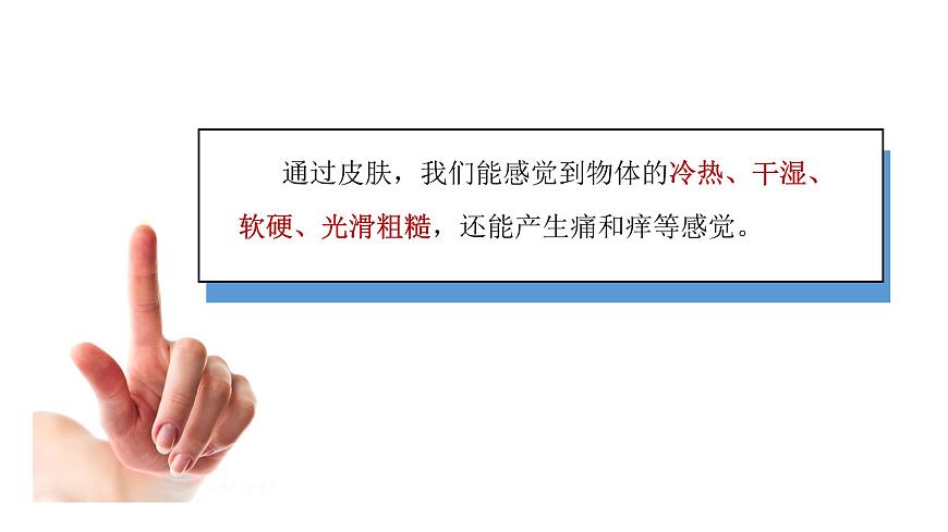 小學(xué)科學(xué)新青島版六三制一年級上冊第二單元第6課《摸一摸》教學(xué)課件（2024秋）第8頁