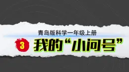 小学科学新青岛版六三制一年级上册第一单元第3课《我的“小问号”》教学课件（2024秋）