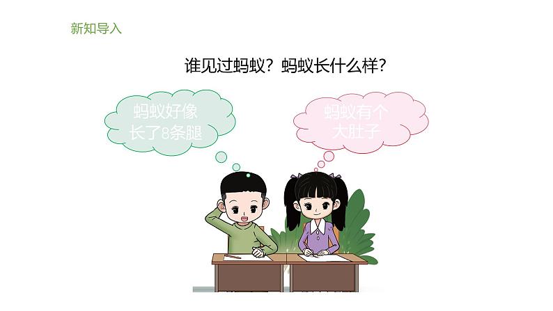 小学科学新大象版一年级上册体验单元《画蚂蚁》教学课件2(2024秋)02
