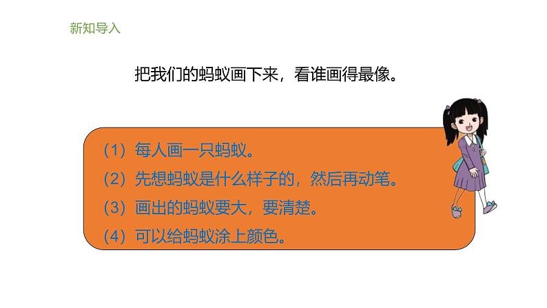 小学科学新大象版一年级上册体验单元《画蚂蚁》教学课件2(2024秋)04