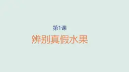 小学科学新大象版一年级上册第一单元第1课《辨别真假水果》教学课件2（2024秋）