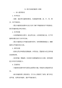 小学科学教科版（2024）一年级上册1.我们知道的植物教案