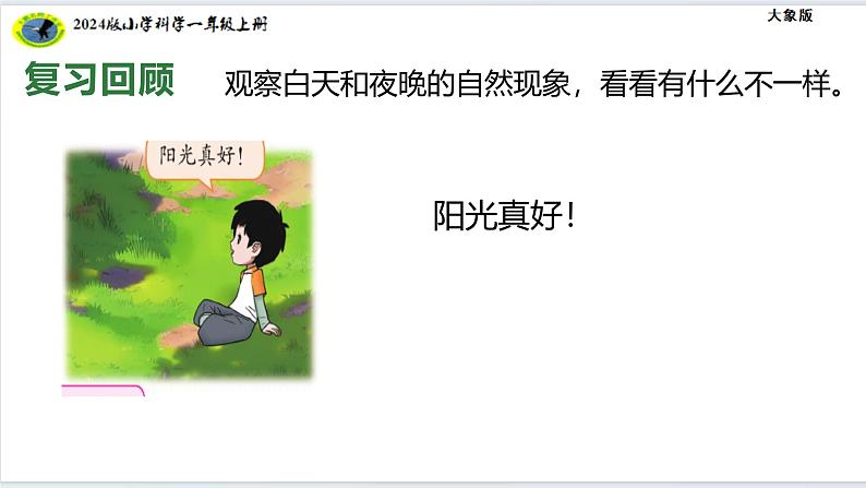 大象版(2024)小学科学反思单元竺可桢的观察日记课件第7页