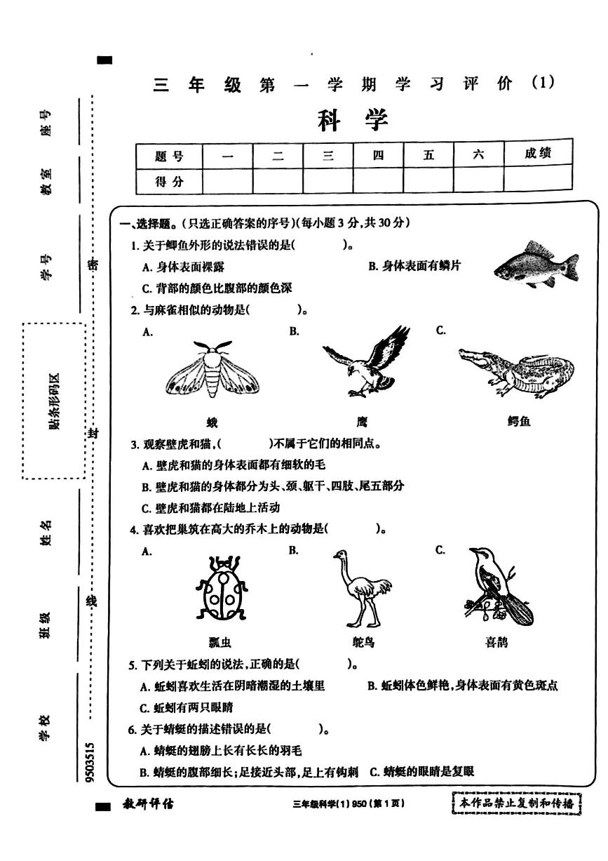 河南省周口市鹿邑县鸣鹿办事处中心学校2024-2025学年三年级上学期10月月考科学试题