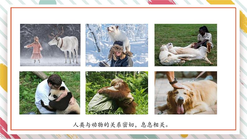 【大单元整体教学】2.5珍稀动物 课时课件第2页