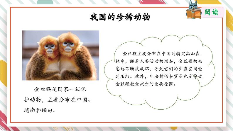【大单元整体教学】2.5珍稀动物 课时课件第6页