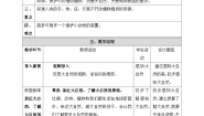 科学教科版（2024）7.做大自然的孩子教案及反思