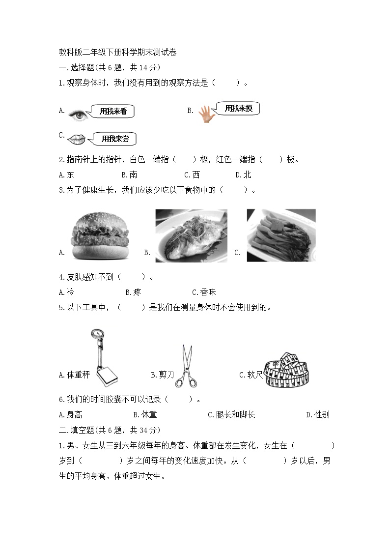 二年级下册科学教科版期末试题