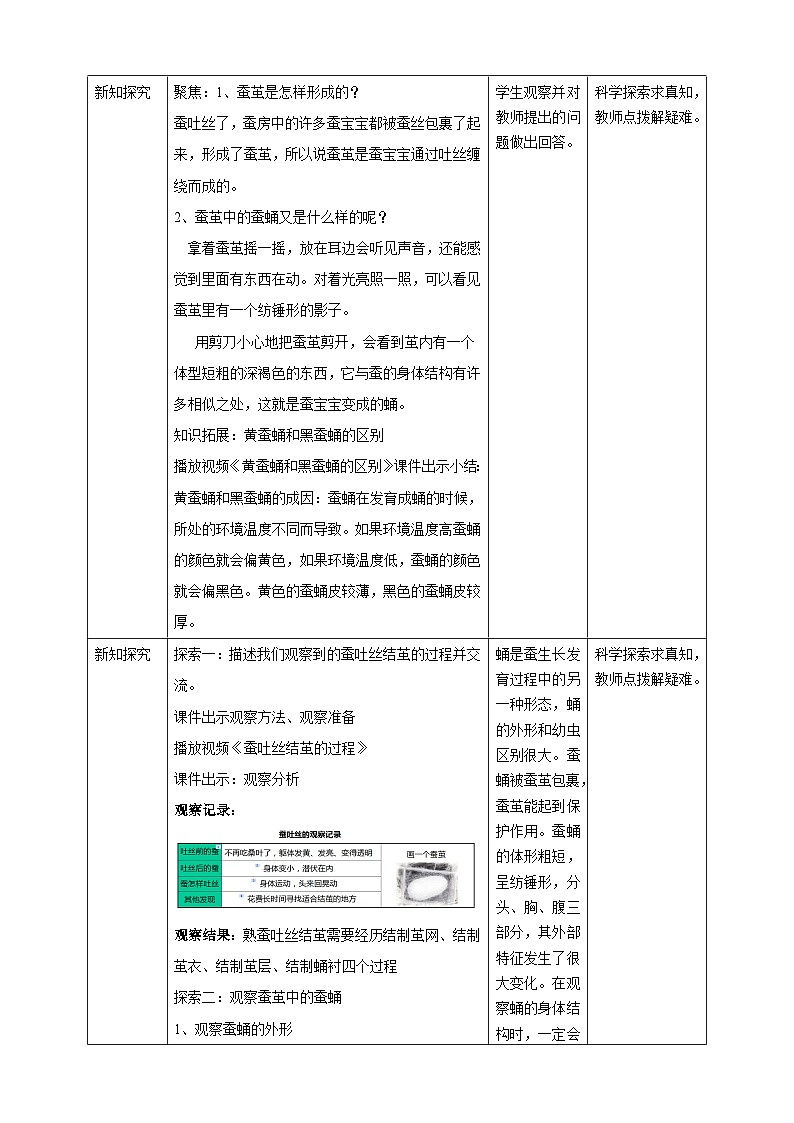 《蚕变了新模样》优质教案第2页